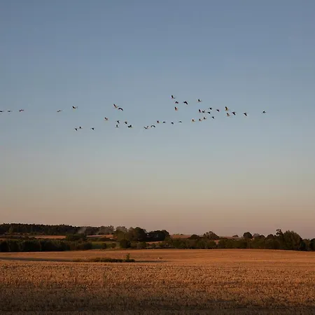 Neu Renoviert: 11 Mit Grosser Wohnkueche, Mitten In Der