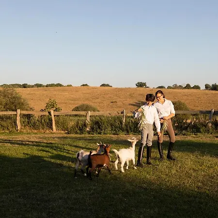 Apartmán Neu Renoviert: 11 Mit Grosser Wohnkueche, Mitten In Der Neu Gaarz