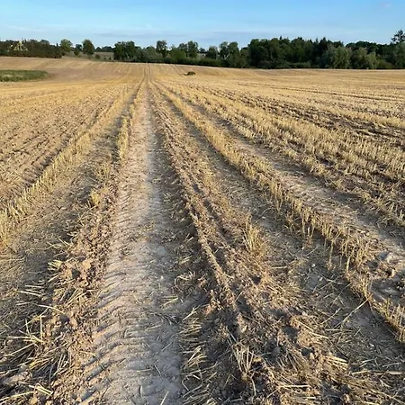 Neu Renoviert: 11 Mit Grosser Wohnkueche, Mitten In Der *