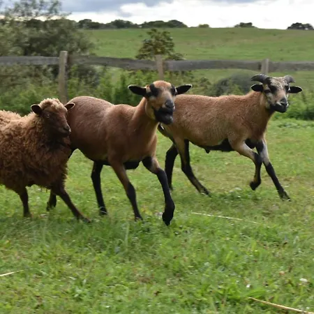 Apartmán Neu Renoviert: 11 Mit Grosser Wohnkueche, Mitten In Der *