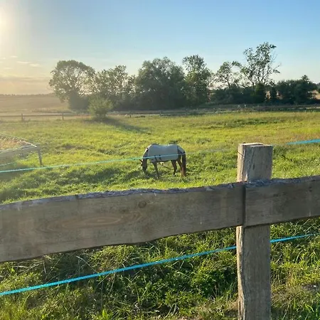 Neu Renoviert: 11 Mit Grosser Wohnkueche, Mitten In Der